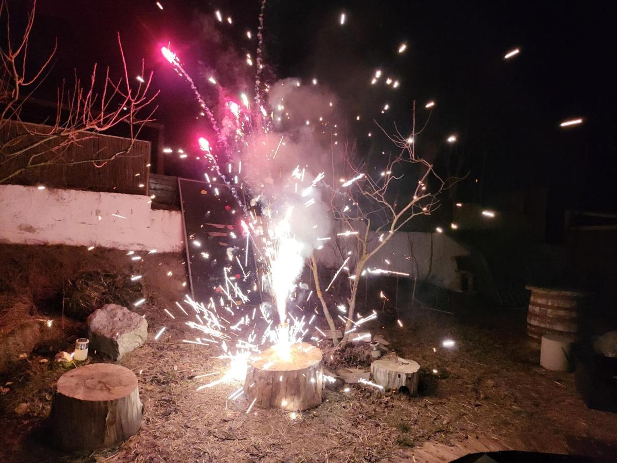 Pensiunea 4 Salcii Băltenii de Sus Zewnętrze zdjęcie
